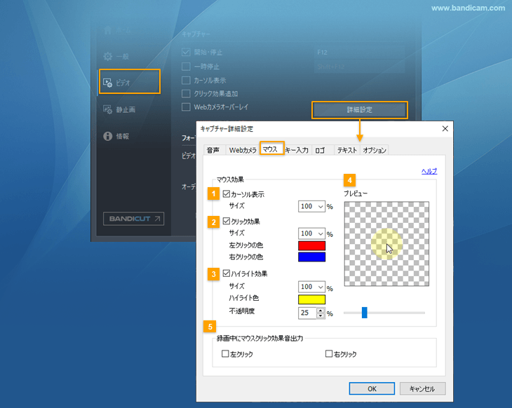 ハイライト 安い 録画 フォーマット